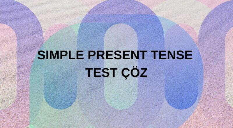 simple present tense test