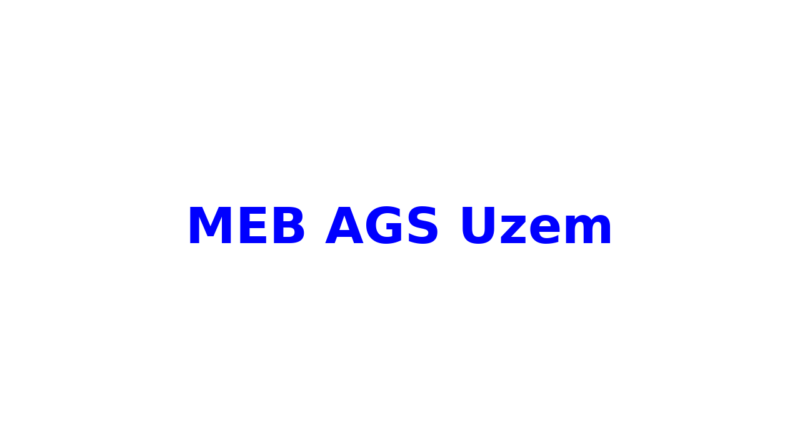 meb ags uzem