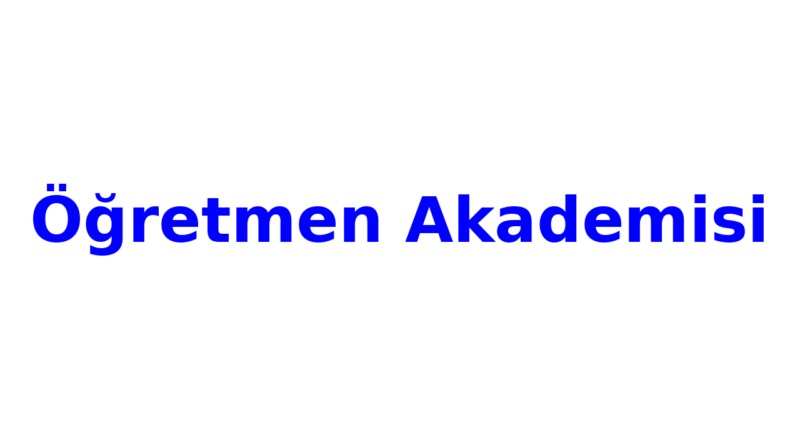 ogretmen akademisi