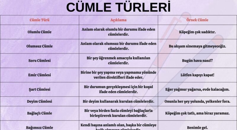 cumle turleri