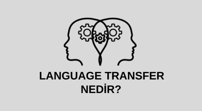 language transfer nedir